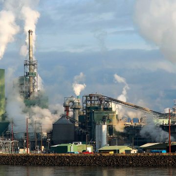 Cambio_Climatico_Nexos2020 Resiliencia: 5 lecciones de la pandemia que nos ayudarán a afrontar el Cambio Climático