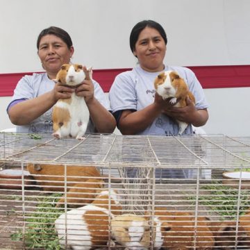 carapongo_a Cáritas del Perú apoyó a más 38 mil familias con proyectos de desarrollo integral durante el 2019.
