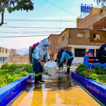Baldeo y desinfección (3) Municipalidad de Ventanilla desinfecta parquees en jornadas diarias. Cuadrillas de trabajadoras dejan veredas y bancas libres de covid con hipoclorito de sodio