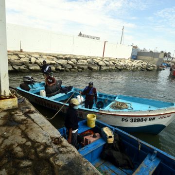 Foto 1 Pesca Los pescadores y maricultores de Pisco que siguen llevando alimento a las familias pese al COVID-19