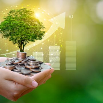 hand Coin tree The tree grows on the pile. Saving money for the future. Investment Ideas and Business Growth. Green background with bokeh sun Prima AFP fue reconocida como Institución líder en investigación de sustentabilidad por alas 20