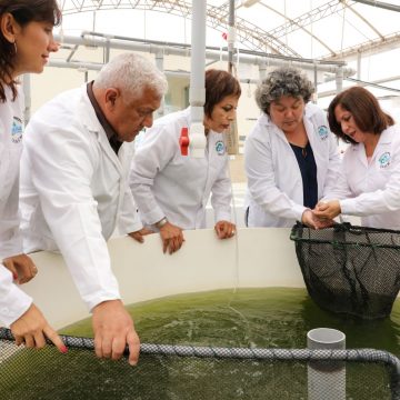 Investigadores de la Universidad Nacional Agraria La Molina Tecnología ecológica que procesa CO2 combate la pandemia y descontamina pasivos ambientales