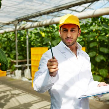 New sort of cucumbers Seidor lideró proyectos de transformación digital en forma remota