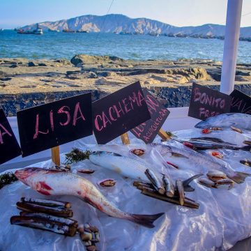 Crédito A comer pescado 4 consejos para la compra responsable de pescado
