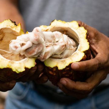 cacao PROMPERÚ: Exportadores peruanos promocionan nuestro cacao en importante feria de Europa