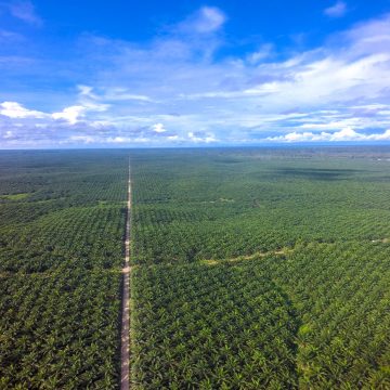 DCIM100GOPROGOPR0160. OEFA deja sin efecto orden de paralización y multa en contra de Ocho Sur