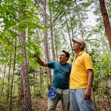 10292019_ProyCafeMYBB_sol_678 Hito para la caficultura peruana: productores de San Martín acceden a bonos financieros por la implementación de prácticas agrícolas climáticamente inteligentes