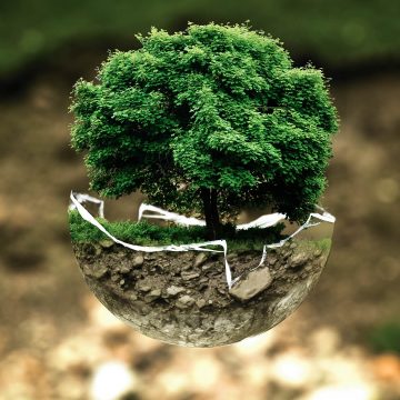 Día Mundial del Reciclaje Empresas que llevan puesta la camiseta de la sostenibilidad-pxhere Día Mundial del Reciclaje: Empresas que llevan puesta la camiseta de la sostenibilidad