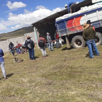 Entrega de alimento Más de 600 sacos de alimento balanceado para ganado ovino fueron entregados a la comunidad de Huini Corccohuayco