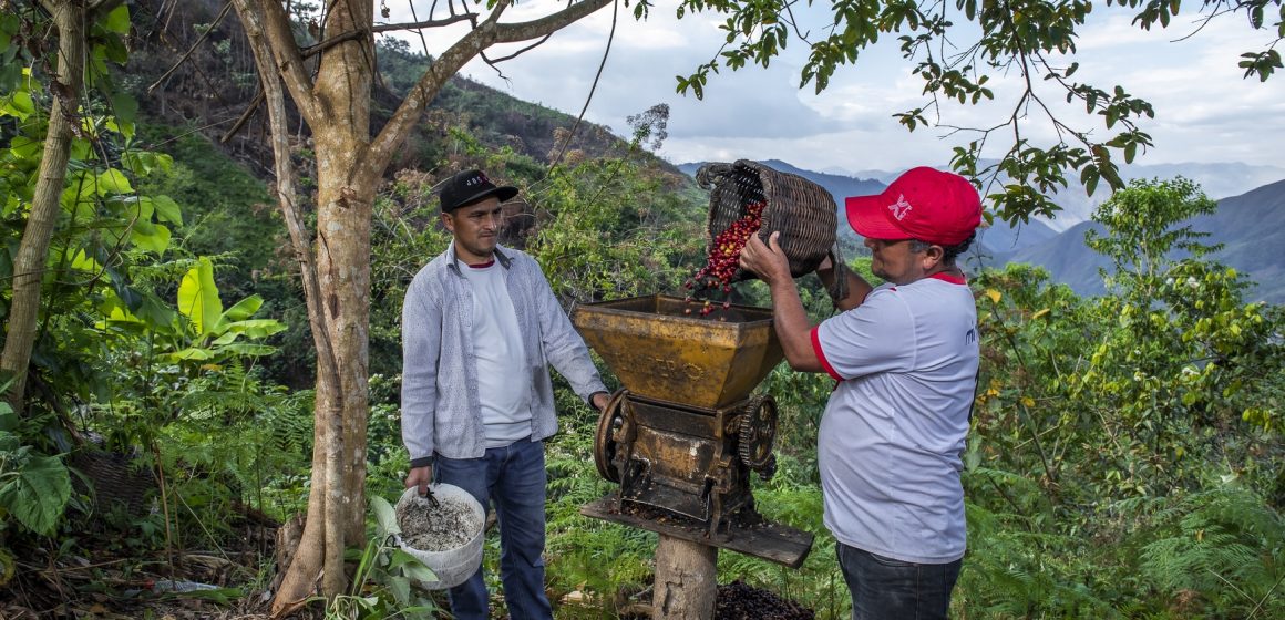 Foto 4 (1) Gobierno peruano establece el ACR Páramos y Bosques Montanos de Jaén y Tabaconas para conservar ecosistemas de montaña en Cajamarca