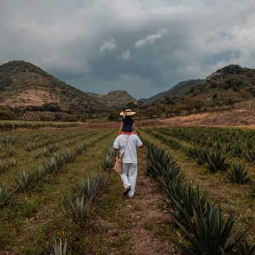 Proyecto Conecta: el poder de los negocios para las soluciones de agua, saneamiento e higiene
