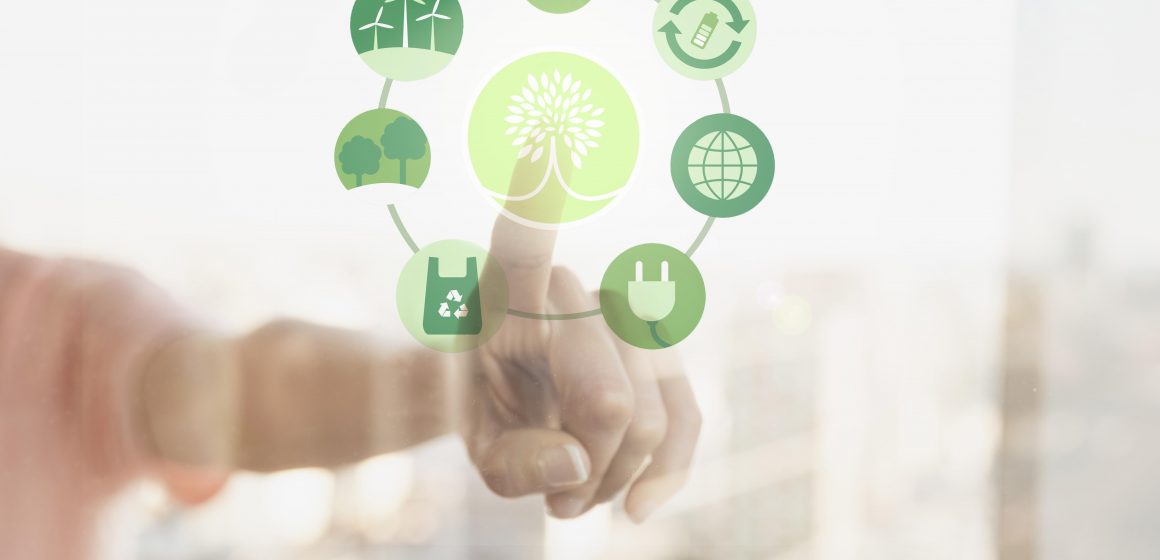 Medio-ambiente Día Mundial de la Educación Ambiental: conoce cómo las empresas pueden generar un impacto positivo