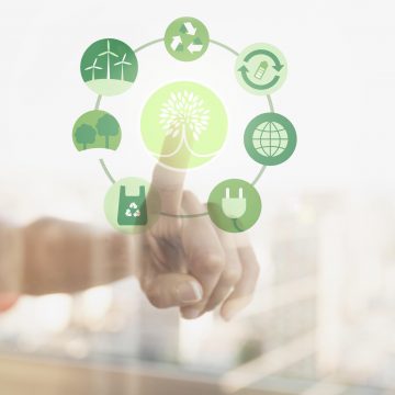 Medio-ambiente Día Mundial de la Educación Ambiental: conoce cómo las empresas pueden generar un impacto positivo