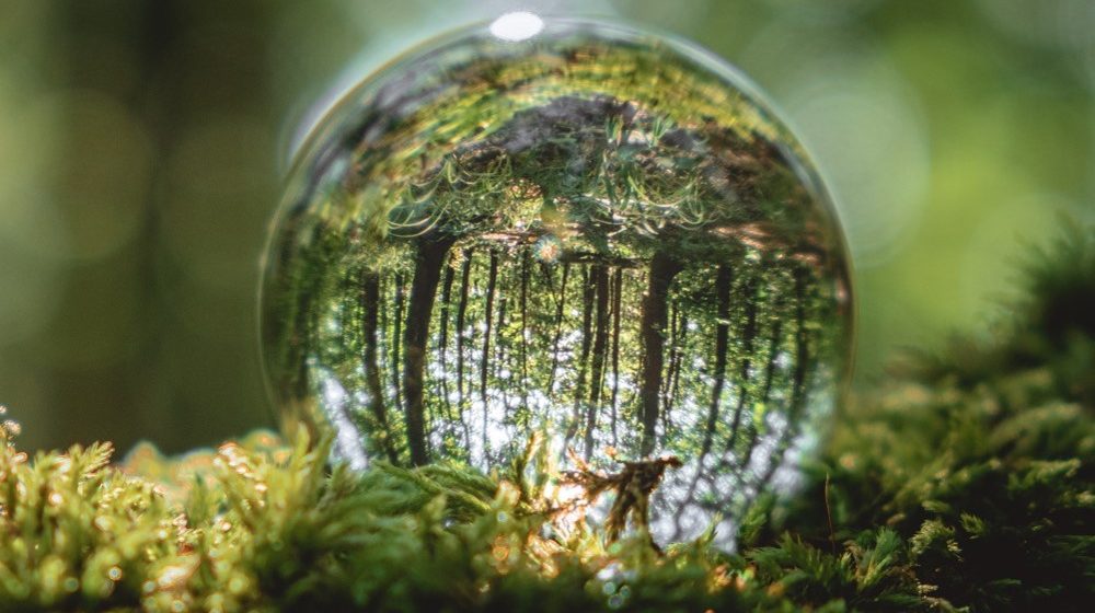 Signify demuestra que un futuro libre de emisiones por monóxido de carbono es posible