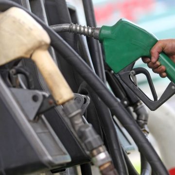 ¿Cuál es la diferencia entre los gasoholes y gasolinas regular y premium?