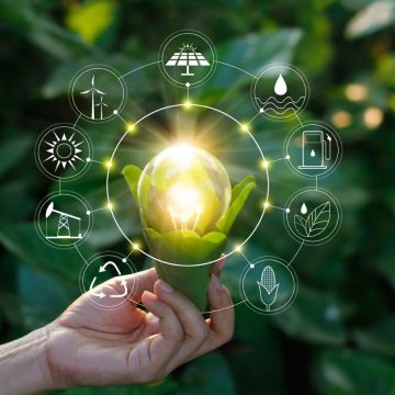 ¿A dónde apuntan las iniciativas de sostenibilidad por parte de las Empresas B en el Perú?&nbsp;