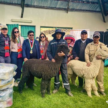 Pacomarca Sostenible: Inversión en el Desarrollo de Productores de Alpaca en los Andes del Perú