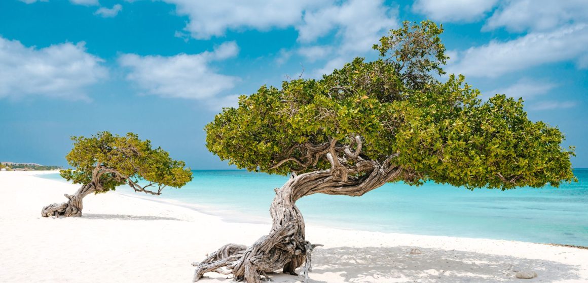 Aruba: 5 motivos para visitar la isla feliz en el 2024