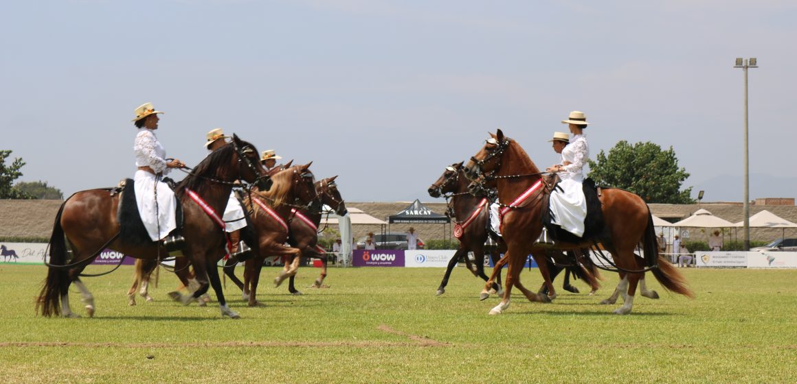 334 caballos de paso de las mejores razas compitieron en XXI Concurso Regional del Caballo Peruano de Paso