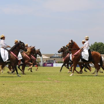 Presentación de las Amazonas de Mala 334 caballos de paso de las mejores razas compitieron en XXI Concurso Regional del Caballo Peruano de Paso