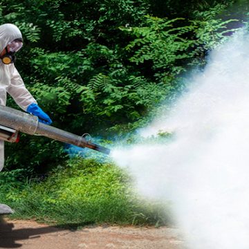Empresas deben capacitar y proteger a sus trabajadores contra el dengue
