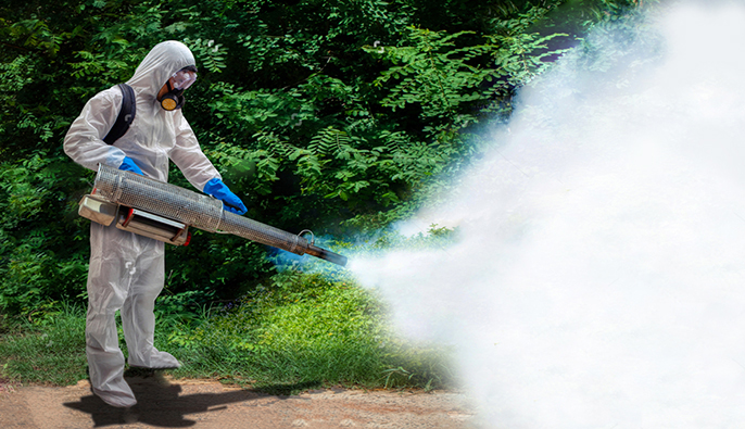 01 (2) (1) Empresas deben capacitar y proteger a sus trabajadores contra el dengue