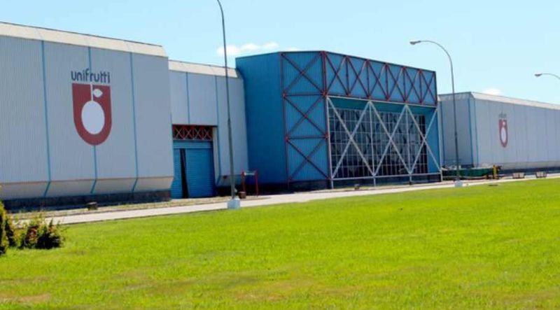 Foto Unifrutti El Grupo Unifrutti adquiere Bomarea y AvoAmerica Perú para reforzar aún más su plataforma multifrutícola mundial