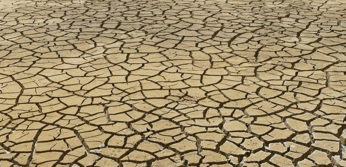 dry-4282884_1280 Responsabilidad social corporativa y desafíos laborales frente al cambio climático