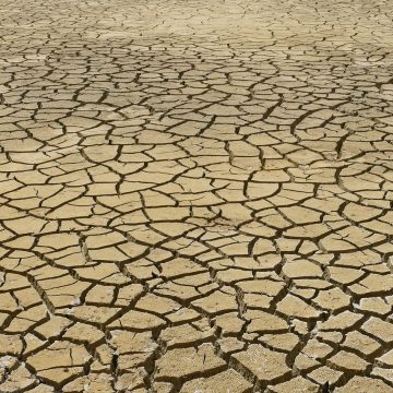 dry-4282884_1280 Responsabilidad social corporativa y desafíos laborales frente al cambio climático