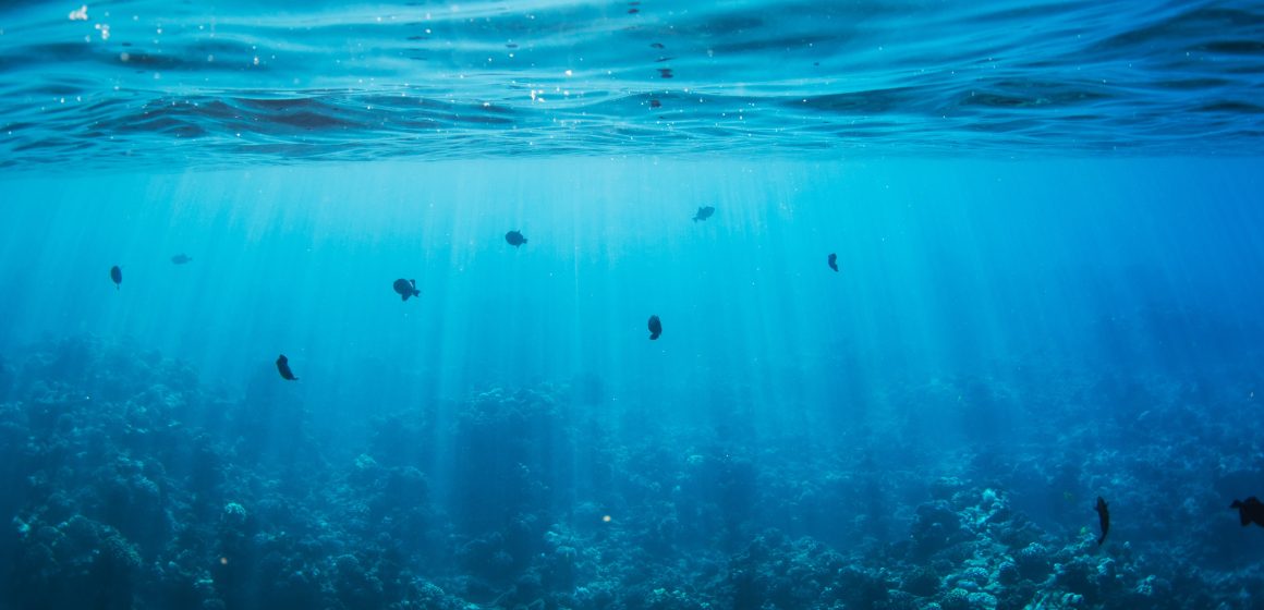 Underwater AMOC, la gran cinta transportadora del océano: dimensión, impactos y consecuencias