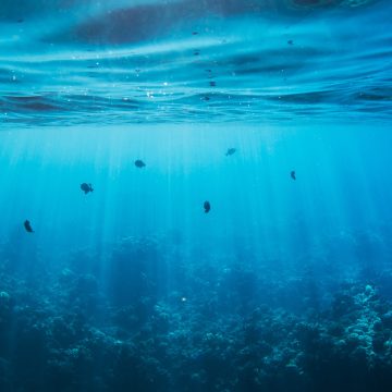 AMOC, la gran cinta transportadora del océano: dimensión, impactos y consecuencias