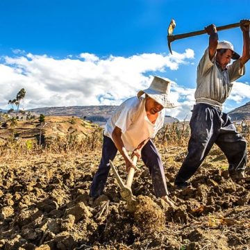 000248098M ¿Eres agricultor y buscas un crédito? Conoce los beneficios del crédito agropecuario