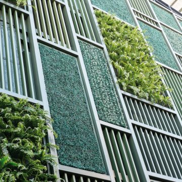 4 (3) Techos verdes y jardines verticales: nuevas soluciones urbanas al impacto ambiental