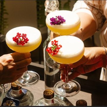  Pisco y Gastronomía Peruana: Maridajes Imperdibles para Fiestas Patrias