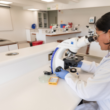 ¡Suiza ofrece becas para investigadores y científicos peruanos! Postula a través del Pronabec a esta gran oportunidad educativa