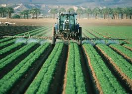 Agroindustria Adex: Empleos de los sectores exportadores crecieron 16.1%