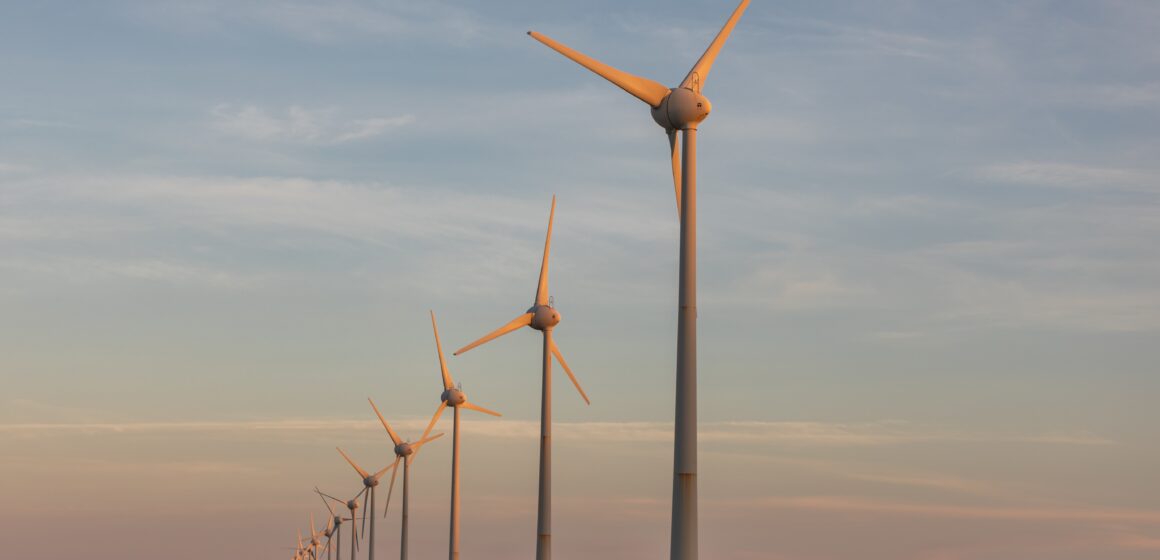 Día Mundial de la Energía ¿Por qué el Día Mundial de la Energía se celebra también el 14 de febrero?