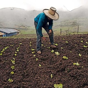 Ingenieros del Perú responden al ministro: la agricultura no puede esperar