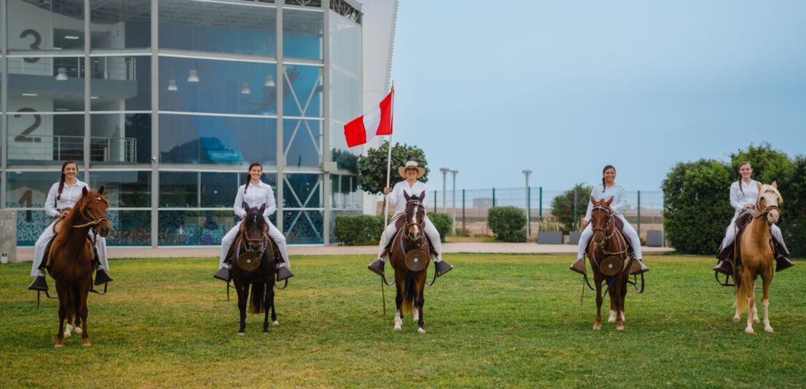 Investigación Ciencia Equina Investigación peruana revela que el distintivo andar del Caballo Peruano de Paso es hereditaria