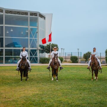 Investigación peruana revela que el distintivo andar del Caballo Peruano de Paso es hereditaria