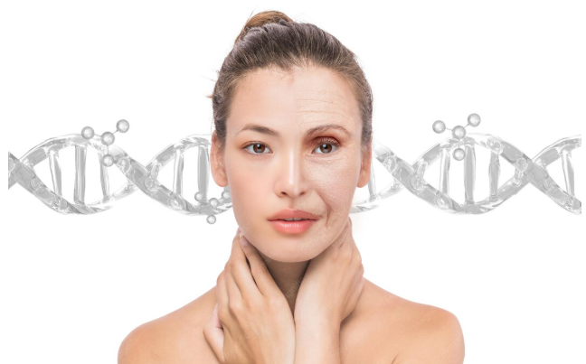 Vitagel_Foto2 ¿TODOS LOS COLÁGENOS FUNCIONAN IGUAL? EL “TRIPEPTIDE” ABRE PASO A UNA NUEVA ERA DEL COLÁGENO.