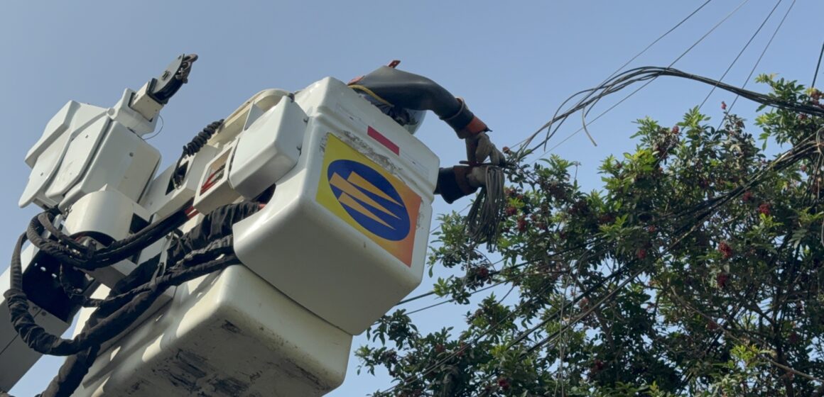 Luz del Sur retira cables de telecomunicaciones que incumplen las distancias mínimas de seguridad a la red eléctrica