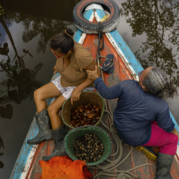Natura lanza una startup de bioingredientes para conectar sus cadenas sostenibles en la Amazonía con el mercado global