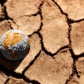 [IPE] Riesgos climáticos alcanzan su nivel más alto y con inseguridad ciudadana son los principales riesgos económicos en el corto plazo
