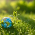IFC del Banco Mundial, reconoce a BSF como el primer centro logístico del Perú en alcanzar máximas exigencias ambientales